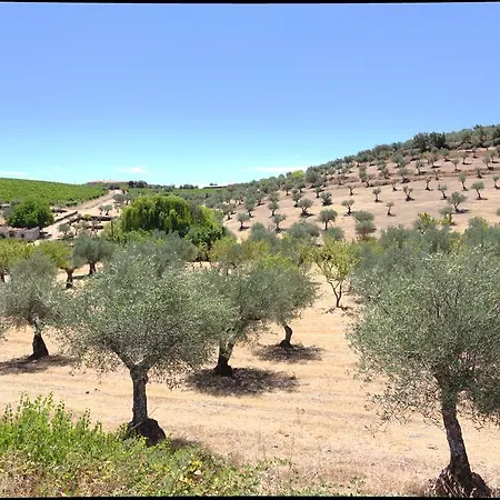 Casa Aguas Ferreas Gasthof Mogadouro (Braganca)