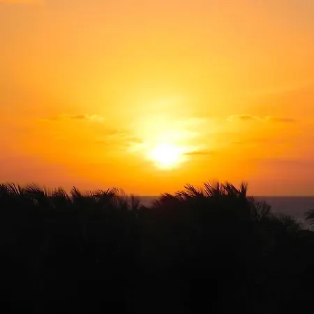 Casa Aguas Ferreas Mogadouro (Braganca)