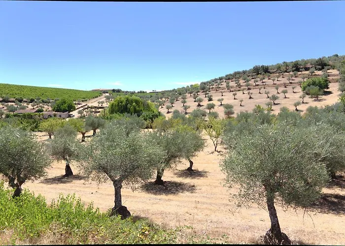 Casa Aguas Ferreas Maison d'hôtes Mogadouro (Braganca)